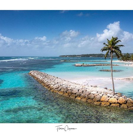 Appartement Cosy, Les Pieds Dans L'Eau ! แซนต์-อาน ภายนอก รูปภาพ