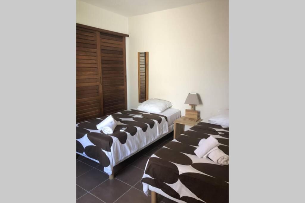 Appartement Cosy, Les Pieds Dans L'Eau ! แซนต์-อาน ภายนอก รูปภาพ